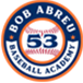 Bob Abreu Baseball Academy